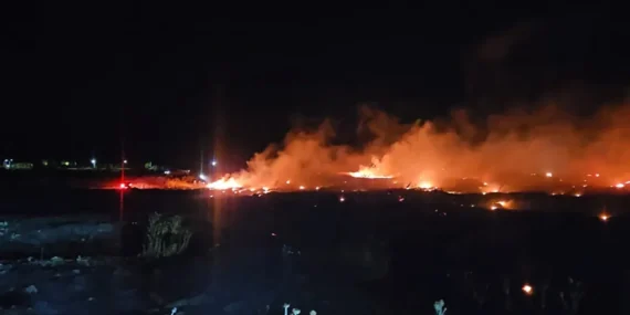 Burhaniye’de örtü yangını! Ekipler alevlere müdahale ediyor