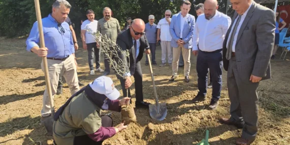 Bursa’da Eğitim ve Tarım İş Birliği: Örnek Zeytin Projesi