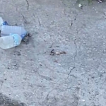 Bursanin-dereleri-alarm-veriyor-Sanayi-kirliligine-mahalle-copleri-de-eklendi-featured