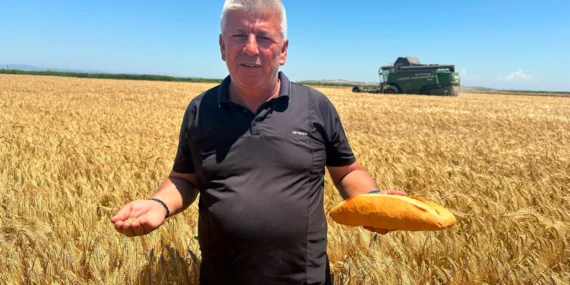 Çiftçi, ekmek fiyatı artışının sorumlusu değil