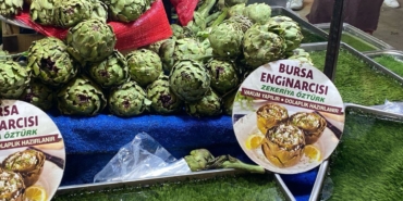 Enginar-fiyatlari-Bursa8217da-sezon-boyunca-dalgalandi-featured