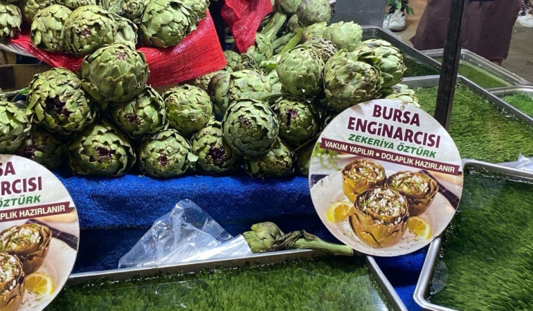 Enginar-fiyatlari-Bursa8217da-sezon-boyunca-dalgalandi-featured