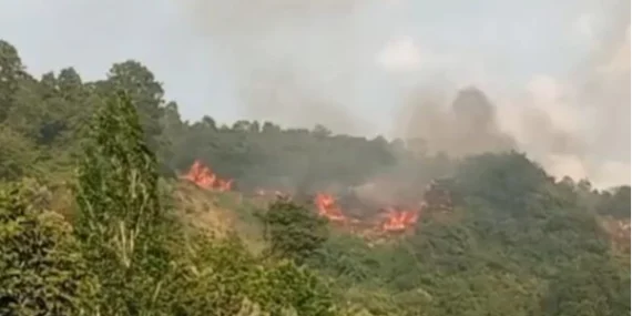 Gemlik’te makilik alanda çıkan yangın söndürüldü