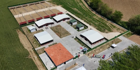 Güney Marmara’nın Modern Yüzü: Yenişehir’de Hayvan Yaşam Merkezi Açıldı