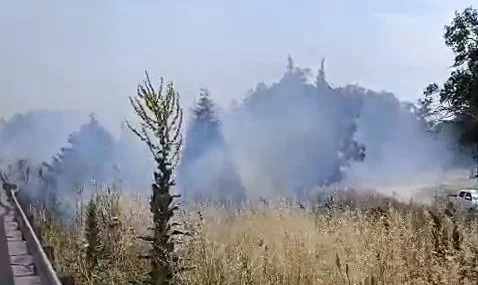 İzmir-Bursa Yolu Alevlere Teslim Oldu