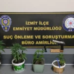 Saksilara-hint-keneviri-ekip-balkonda-buyuttu-featured