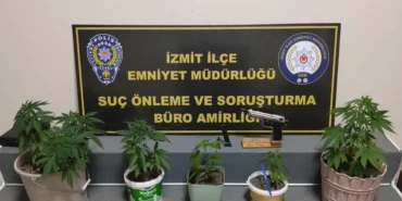 Saksilara-hint-keneviri-ekip-balkonda-buyuttu-featured