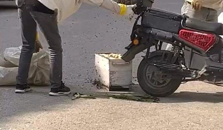 Bursa'da Arıların Motosiklet Olayı