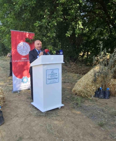 Öğrencilerden Zeytin Fidanı Dikimi