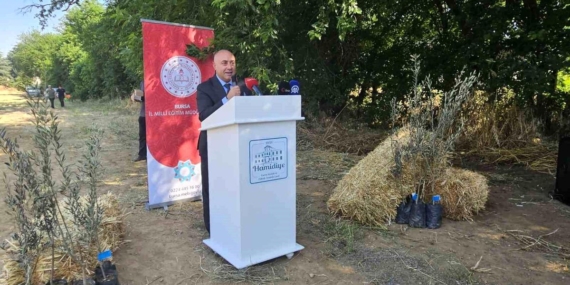 Öğrencilerden Zeytin Fidanı Dikimi