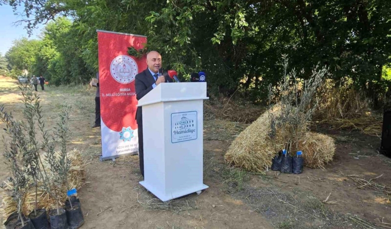 Öğrencilerden Zeytin Fidanı Dikimi