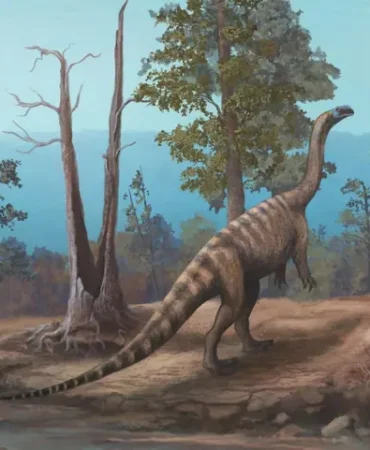 45-metre-uzunlugundaki-210-milyon-yillik-dinozor-kesfi-featured