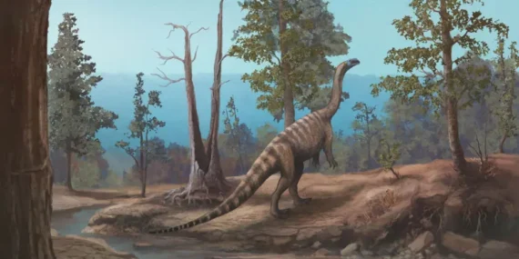 4,5 metre uzunluğundaki 210 milyon yıllık dinozor keşfi