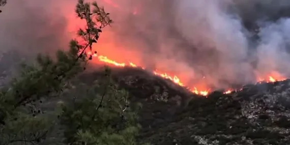 Antalya Kaş’ta Orman Yangını: Alevler Büyüyor, Müdahale Sürüyor