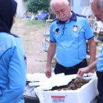 Antalya-Terminalinde-kerevit-operasyonunda-90-kilogram-ele-gecirildi-featured