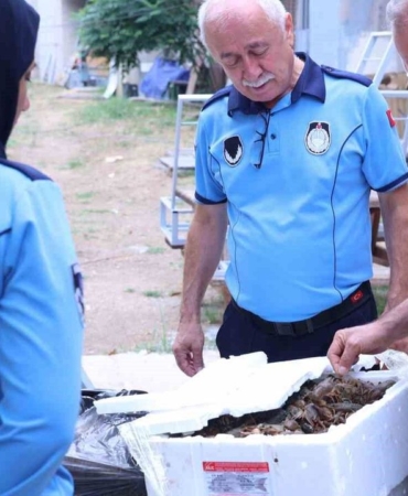 Antalya-Terminalinde-kerevit-operasyonunda-90-kilogram-ele-gecirildi-featured