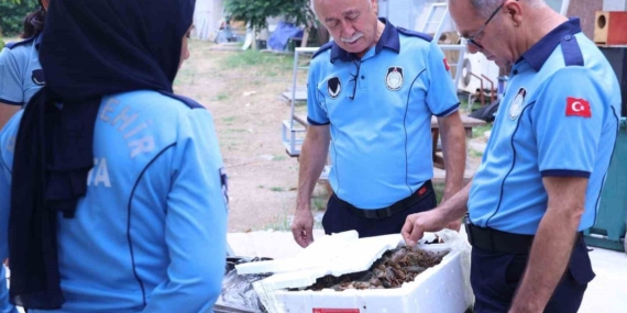 Antalya-Terminalinde-kerevit-operasyonunda-90-kilogram-ele-gecirildi-featured