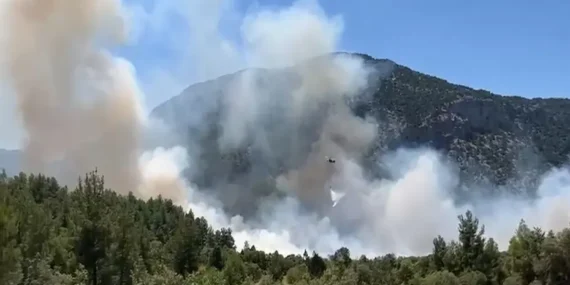 Antalya’da Orman Yangınına Müdahale Sürüyor