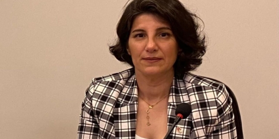 Arılık İptali Hastalık Değil, Bilimsel Gerçekler Açıklandı