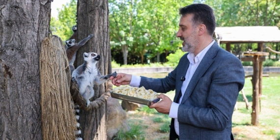 Başkan Vekili Biba’dan Hayvanat Bahçesi Ziyareti
