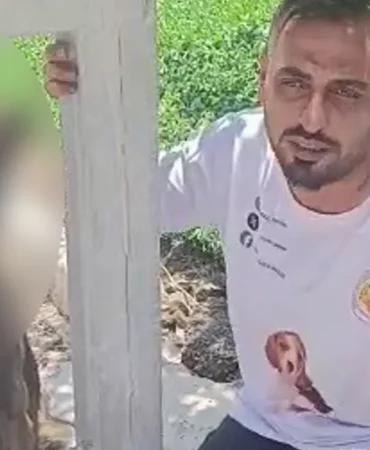 Belcika-kurdu-zehirlenip-direge-asilarak-telef-edildi-featured