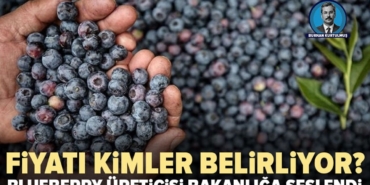 Blueberry-ureticisi-bakanliga-cagri-Yerli-uretim-korunmali-featured