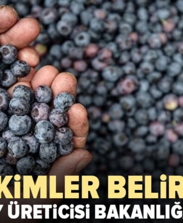 Blueberry-ureticisi-bakanliga-cagri-Yerli-uretim-korunmali-featured