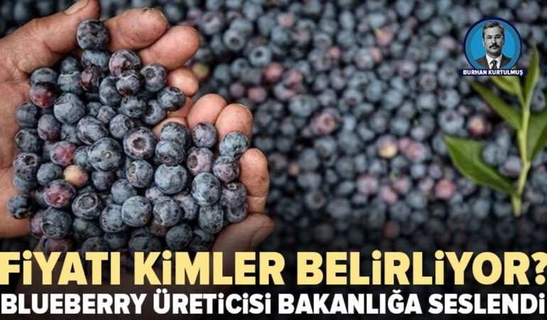 Blueberry-ureticisi-bakanliga-cagri-Yerli-uretim-korunmali-featured