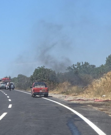 Bursa-Yalova-yolunda-yangin-genisledi-Agaclar-tutustu-featured