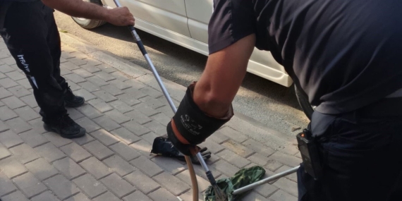 Bursa’da minibüste yılan paniği