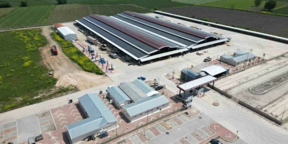 İnegöl Hayvan Pazarı 2 Aylık Aradan Sonra 30 Temmuz’da Açılıyor