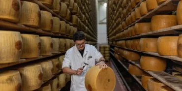 Kavurucu-sicaklar-Parmigiano-Reggiano8217yu-vurdu-maliyetler-artti-featured