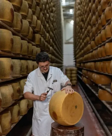 Kavurucu-sicaklar-Parmigiano-Reggiano8217yu-vurdu-maliyetler-artti-featured