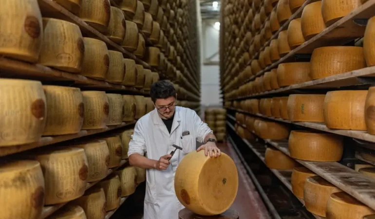 Kavurucu-sicaklar-Parmigiano-Reggiano8217yu-vurdu-maliyetler-artti-featured