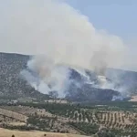 Malatya8217da-orman-yangini-suruyor-ekipler-mudahalede-featured