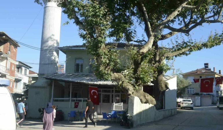 Mudanyada-Sehitler-Anisina-Birlik-ve-Bereket-Icin-Dua-Edildi-featured