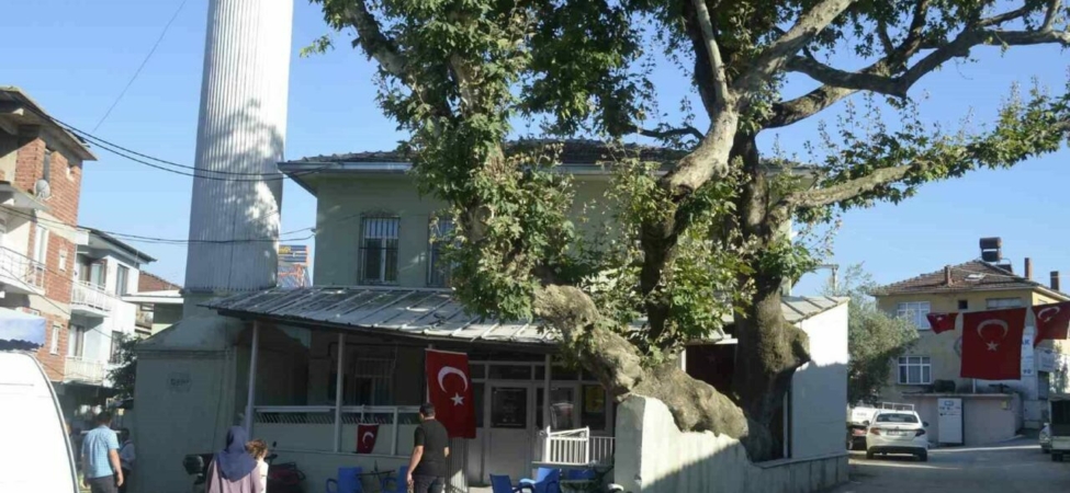 Mudanyada-Sehitler-Anisina-Birlik-ve-Bereket-Icin-Dua-Edildi-featured
