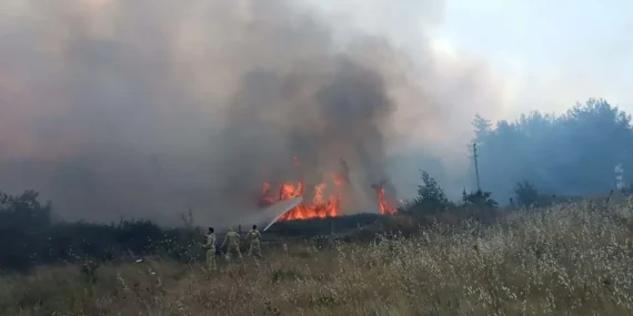 Muğla’da orman yangını: 5 hektar zarar, 1 kişi gözaltında