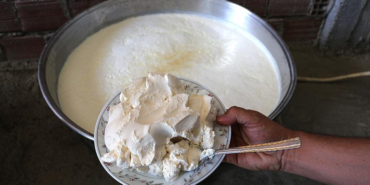 NATO-Zirvesi8217nde-liderlere-bu-yogurt-yedirildi-yapim-2-gun-featured