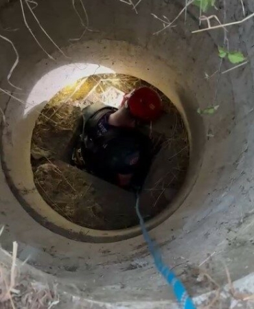 Rogar-kapagindan-dusen-keci-itfaiye-tarafindan-kurtarildi-featured