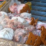 Sakarya8217da-5-bin-500-kilogram-etiketsiz-et-ele-gecirildi-featured