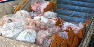 Sakarya8217da-5-bin-500-kilogram-etiketsiz-et-ele-gecirildi-featured