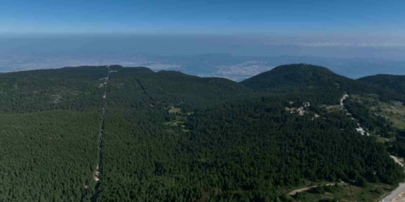 Sıcaktan bunalanlar Uludağ’da çadır kurdu