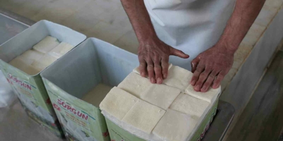 Sorgun peyniri coğrafi işaretle tescillendi