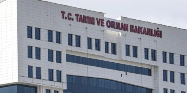 Tarim-ve-Orman-1874-kisilik-alimi-icin-basvuru-tarihi-belirsiz-featured