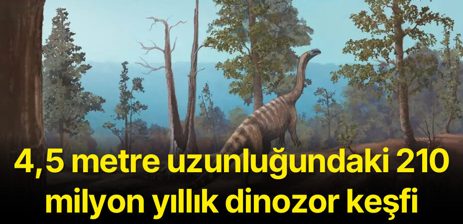 4,5 metre uzunluğundaki 210 milyon yıllık dinozor keşfi