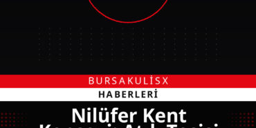 Nilüfer Kent Konseyi: Atık Tesisi İçin Teknik ve Hukuki İtirazlar