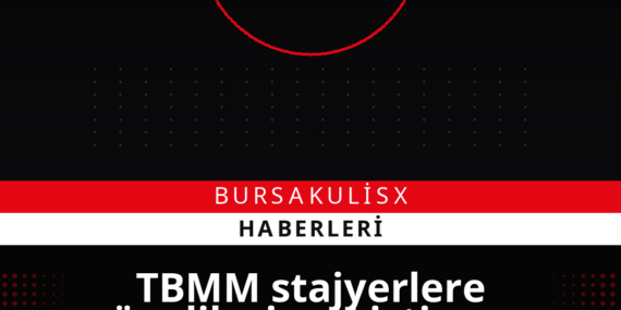 TBMM stajyerlere yönelik cinsel istismar davasının gerekçeli kararı açıklandı