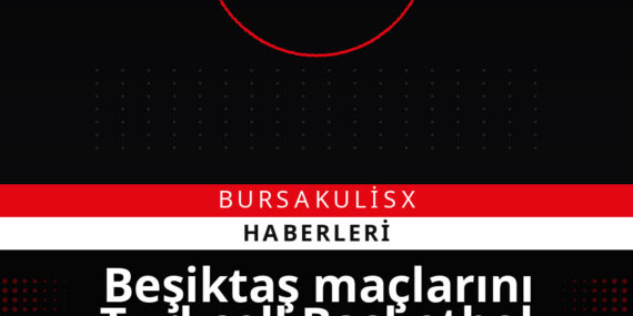 Beşiktaş maçlarını Turkcell Basketbol Gelişim Merkezi’nde oynayacak