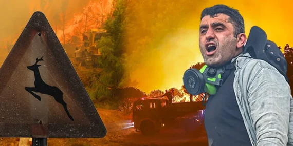 Orman Yangınlarındaki Son Durum: SMS Uyarıları Yaygın, Çine Öne Çıktı